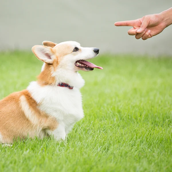 manner